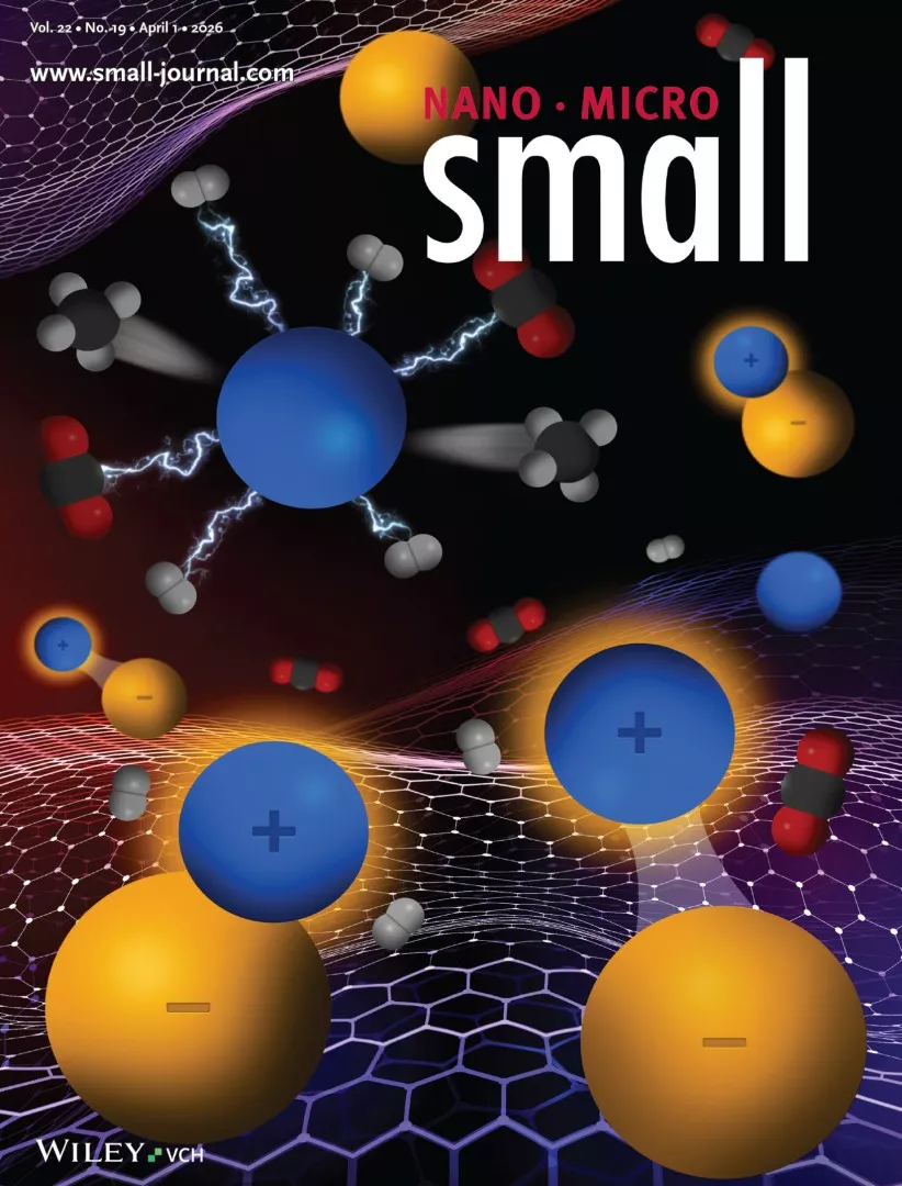 Okładka czasopisma "small"