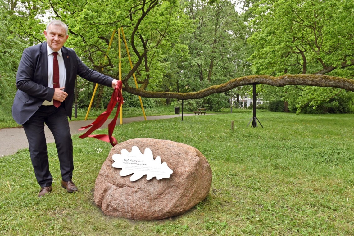 Rektor prof. Krzysztof Jóżwik odsłonił tablicę poświąconą Europejskiemu Drzewu Roku