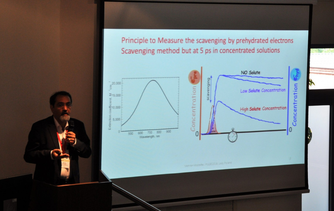  prof. Mehran Mostafavi - University Paris-Sud (Francja)