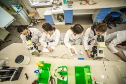 Zajęcia w laboratorium