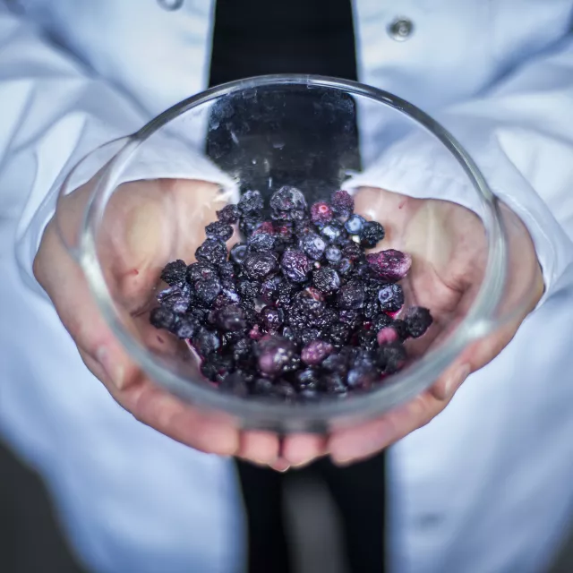 Wytłoki z owoców jagodowych