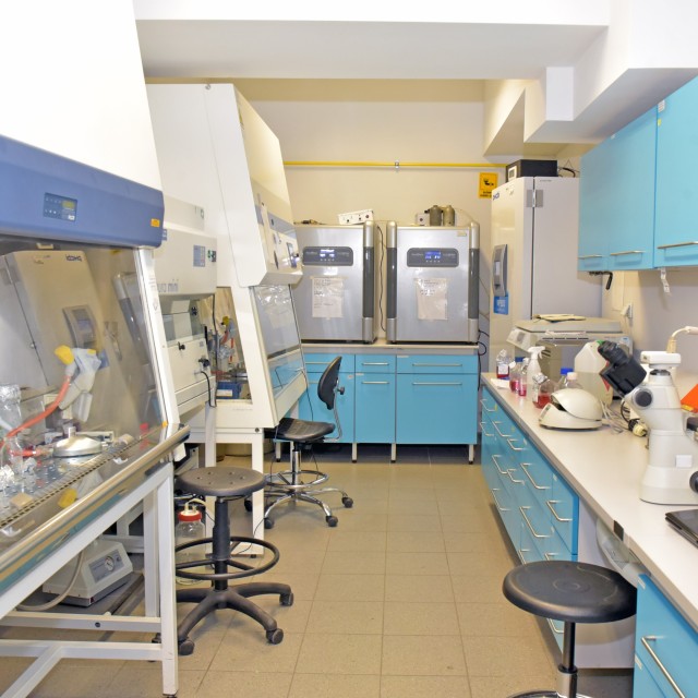 laboratoriu zespołu bioaktywnych fitozwiązków i nutrigenomiki